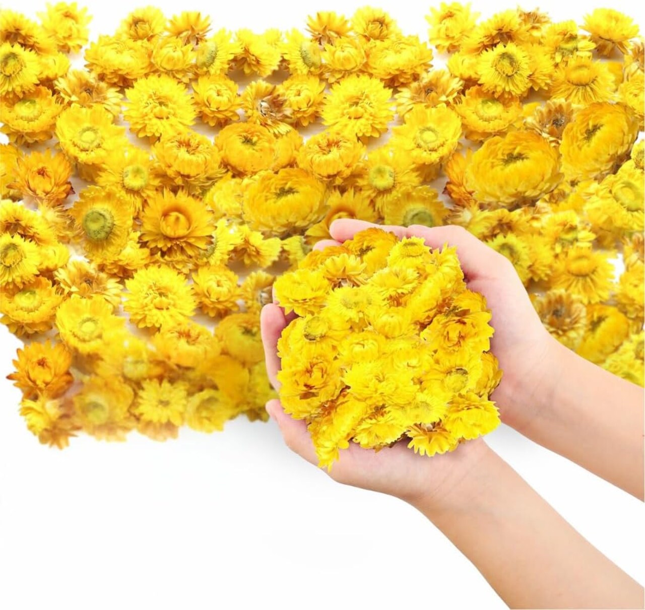 Dried Flower Yellow Straw Daisy Biodegradable Confetti - Flower Petals for Weddings, Flower Girl Toss, Wedding Decorations